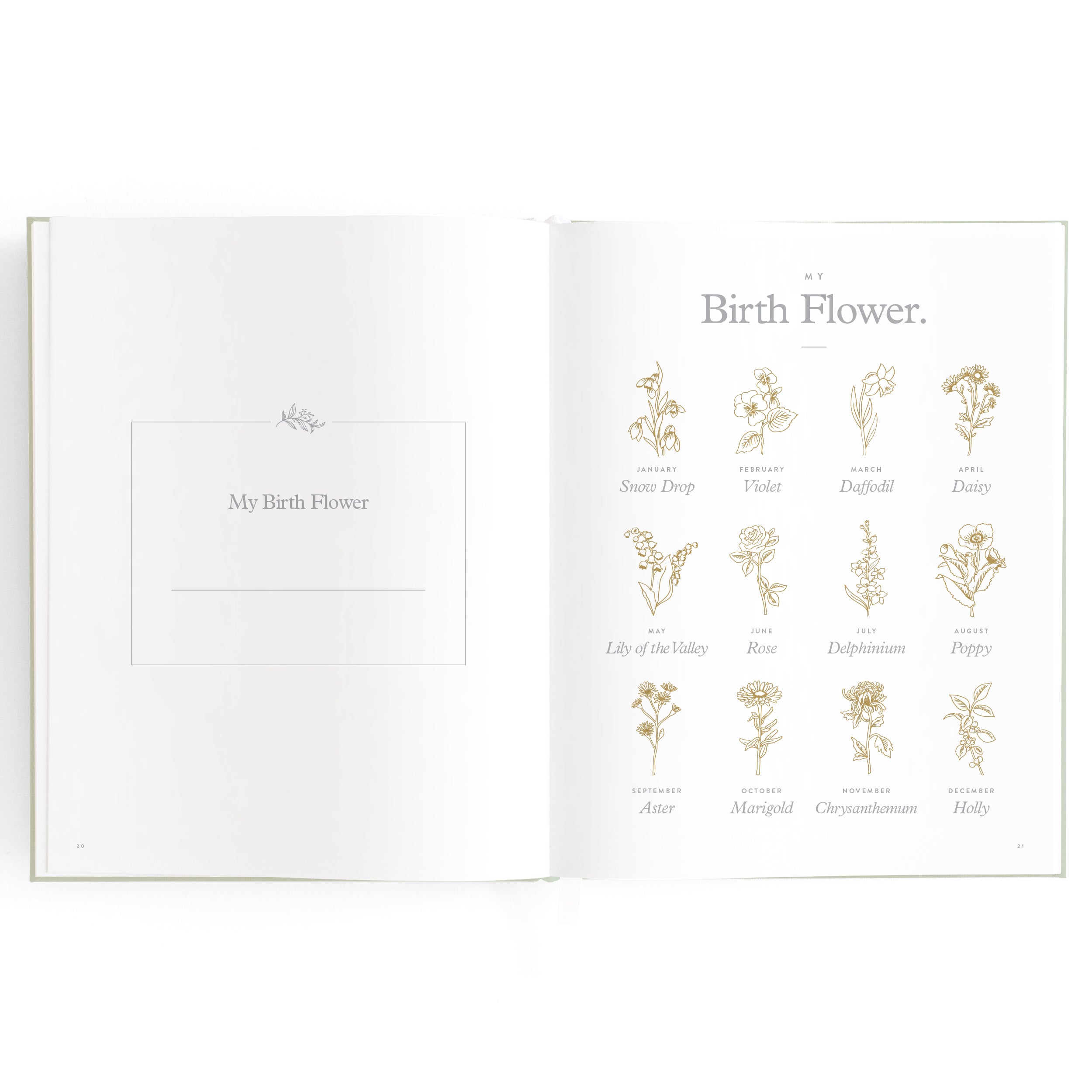 An open book, titled "Baby Book Pistachio" by FOX & FALLOW, displays a title page on the left with "My Birth Flower" written above a blank space. On the right side, "My Birth Flower" is also at the top, followed by illustrations and names of twelve flowers representing different birth months. This memory album makes for an ideal family keepsake.