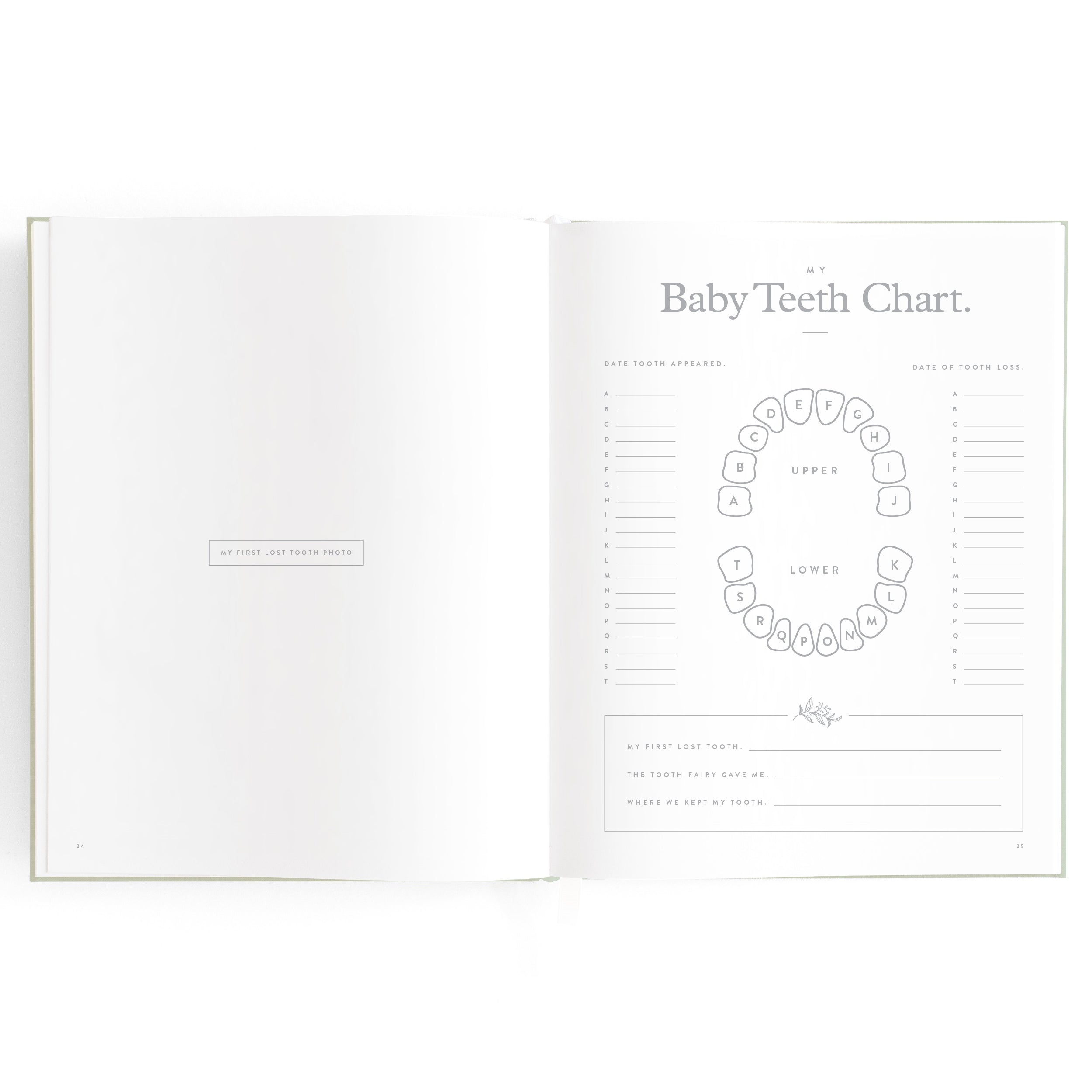 An open book displaying the "Baby Book Pistachio" by FOX & FALLOW. This charming milestone book features a detailed "Baby Teeth Chart" layout for recording when baby teeth appear and fall out. It includes sections for the upper and lower teeth, with spaces to note specific dates and additional related information, making it a perfect family keepsake.