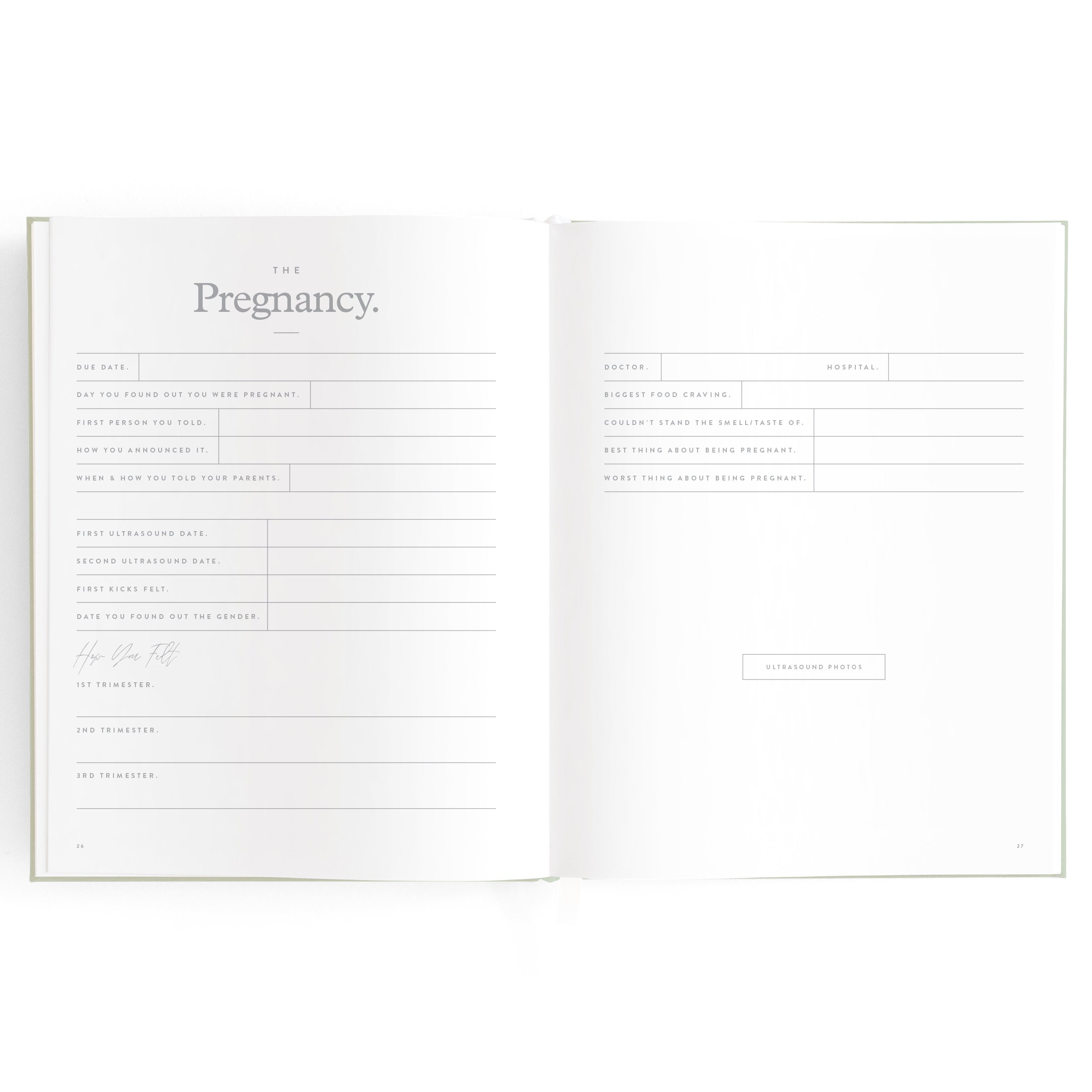 An open book titled "Baby Book Pistachio" by FOX & FALLOW serves as a beautiful family keepsake with blank sections for details such as the date, reactions, key people to tell, and other pregnancy-related information. The pages feature a clean, minimalistic design with light gray text on white paper.