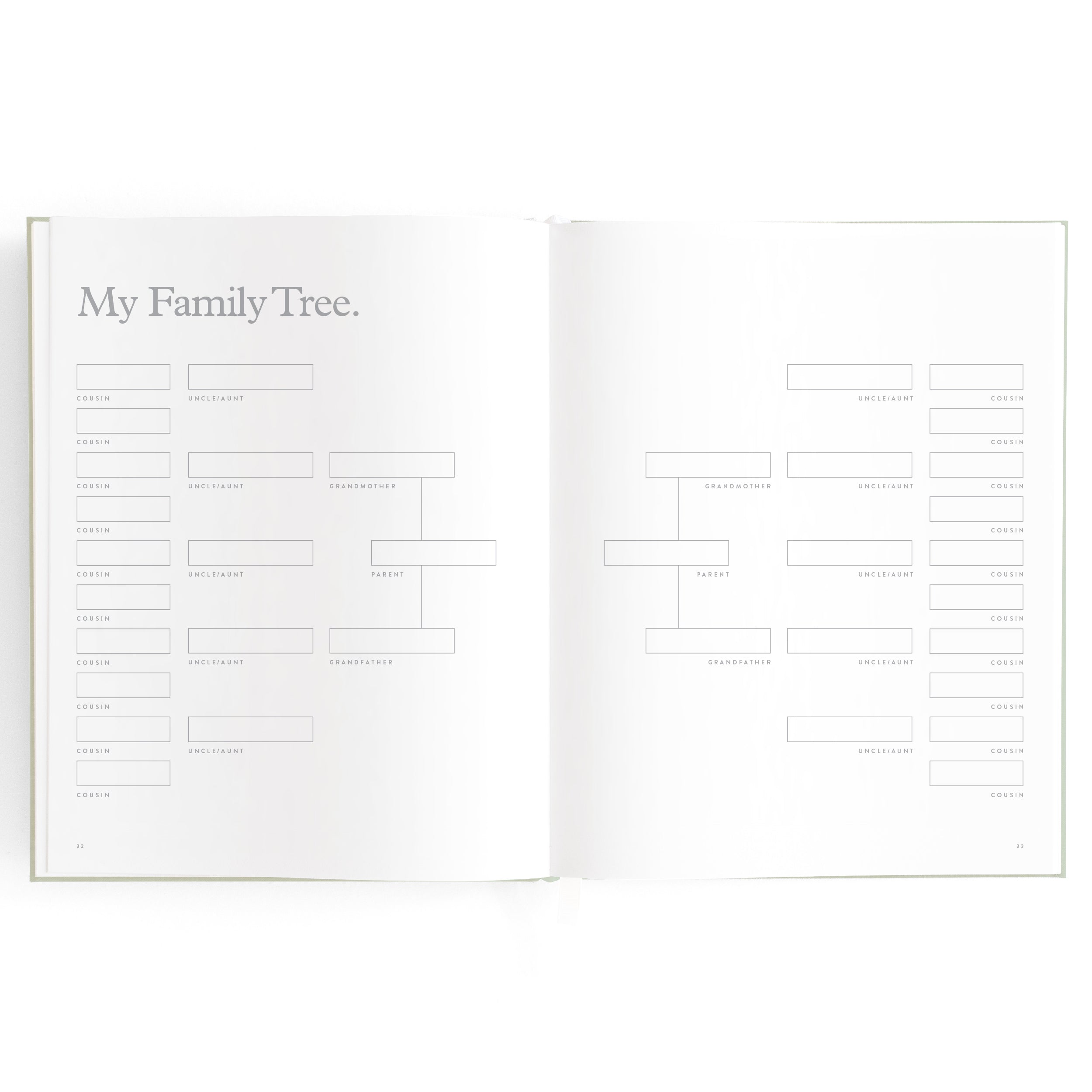 The Baby Book Pistachio by FOX & FALLOW is an open book displaying a blank family tree chart titled "My Family Tree." The chart, spanning two pages, features several empty horizontal and vertical boxes for filling in family members' names. With its minimalistic layout on a white background, it serves as the perfect family keepsake.