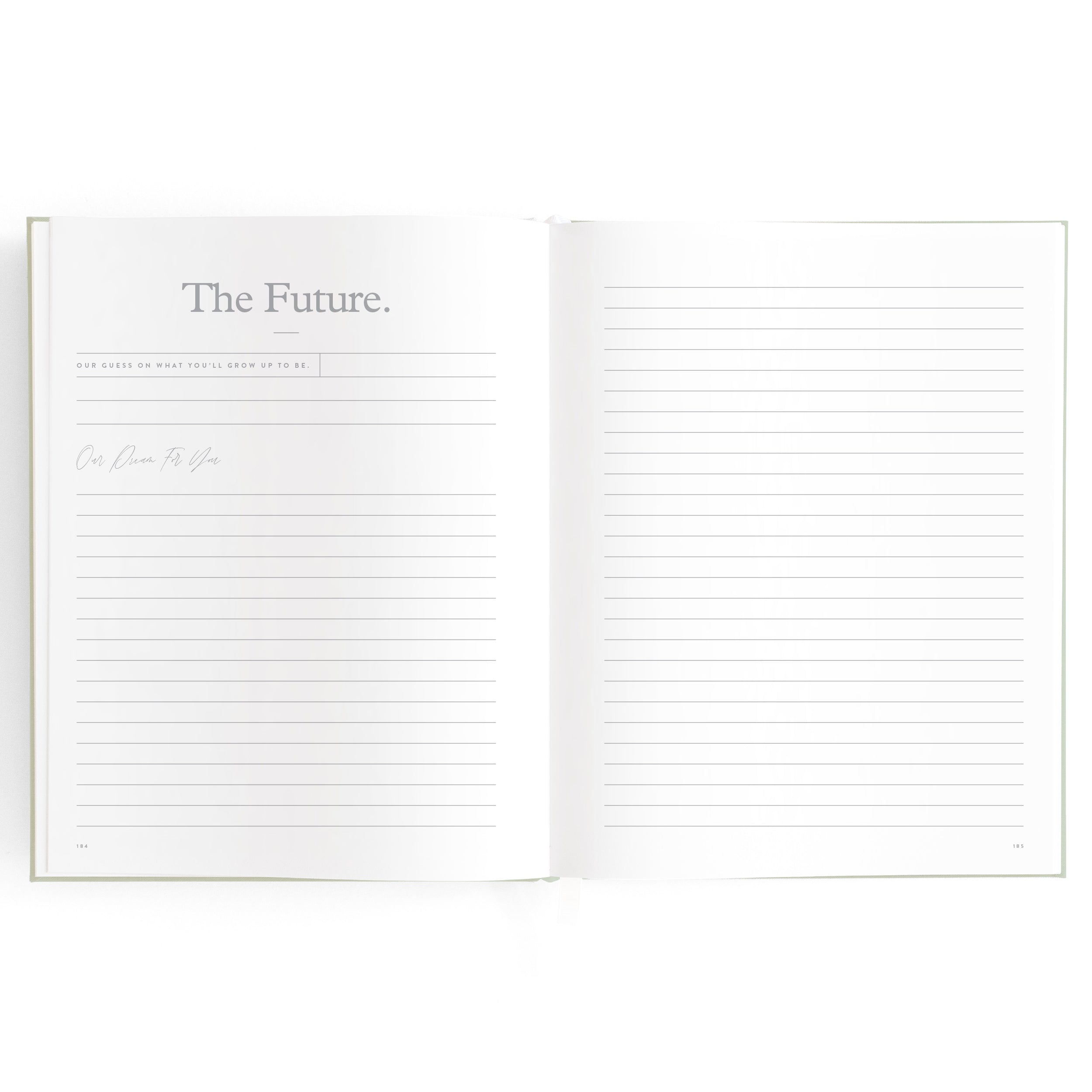 The image features the "Baby Book Pistachio" by FOX & FALLOW, an ideal family keepsake. The left page is titled "The Future" with a section to list future goals and lined space for writing below. On the right page, there is ample lined space for writing, perfect for documenting milestones and memories.