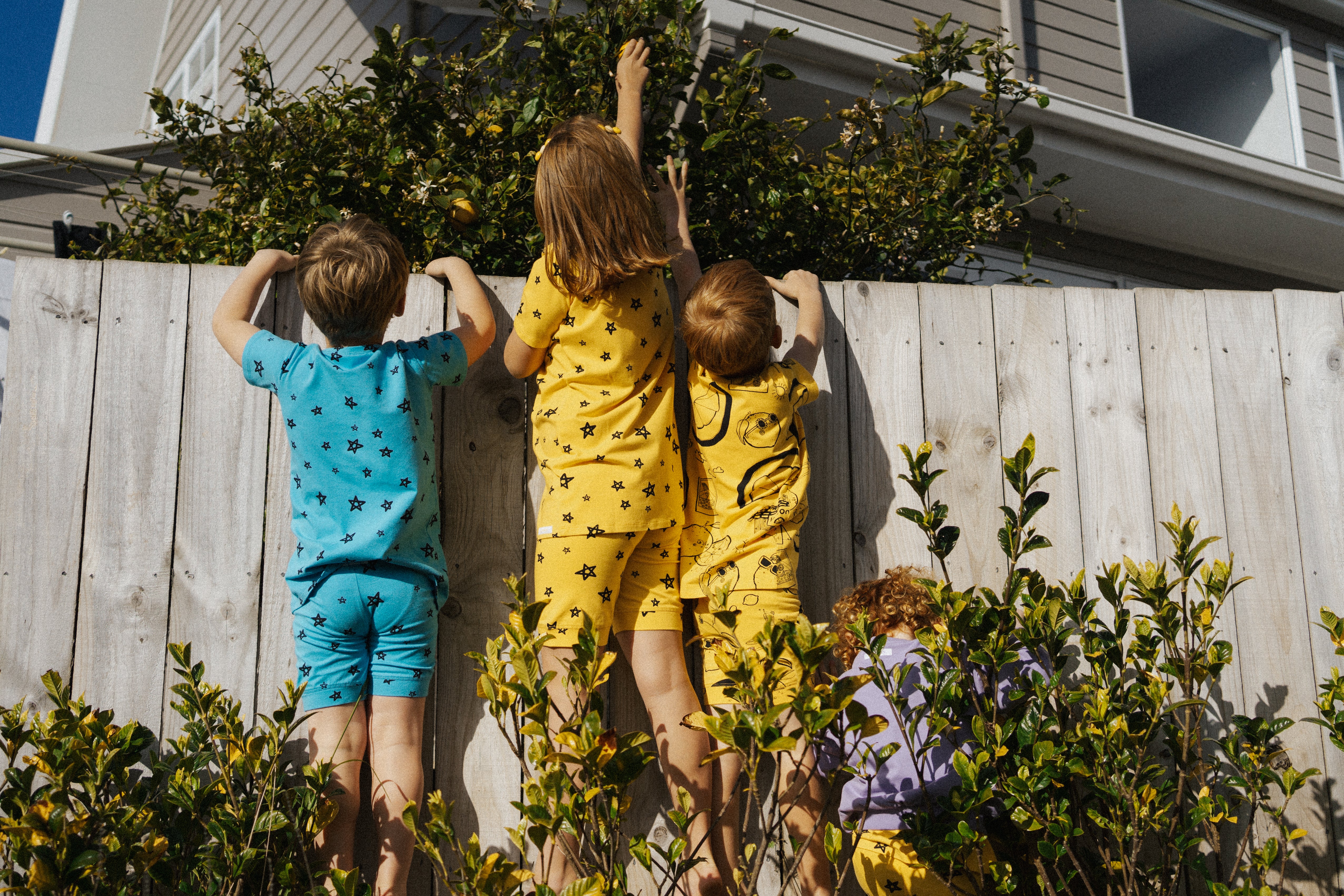 Four children in vibrant *G.NANCY's* Star Shortie PJ Set Lemon stand on tiptoes, peering over a wooden fence. They reach for branches from a lush tree, set against the backdrop of a modern house. Bushes with leaves frame the bottom of the scene.