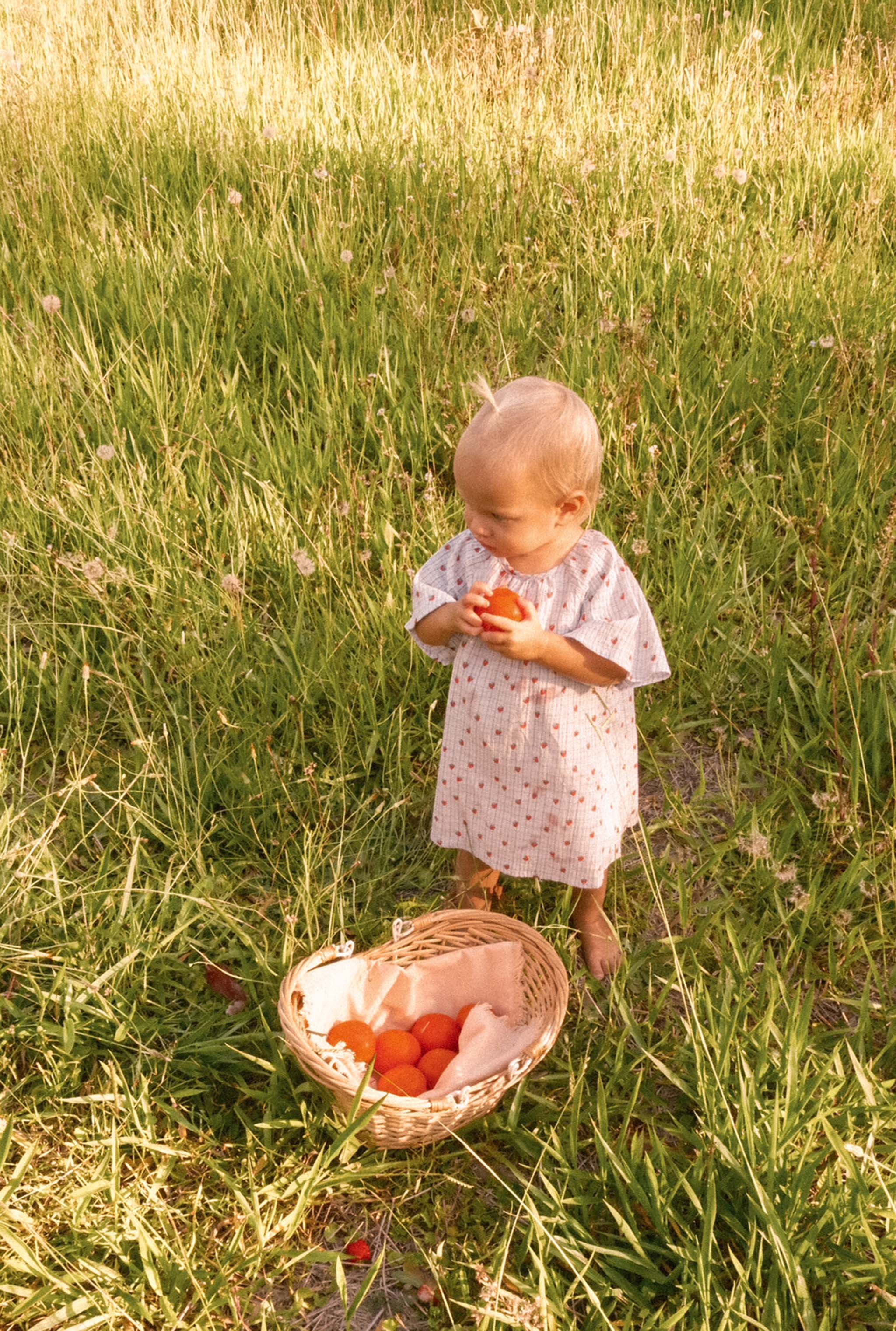 A toddler wearing the JUNI JNR Penny Dress in Strawberry Check - Size 4 stands barefoot in a grassy field, holding an orange. Nearby, a wicker basket with more oranges enhances the charm of this serene scene.