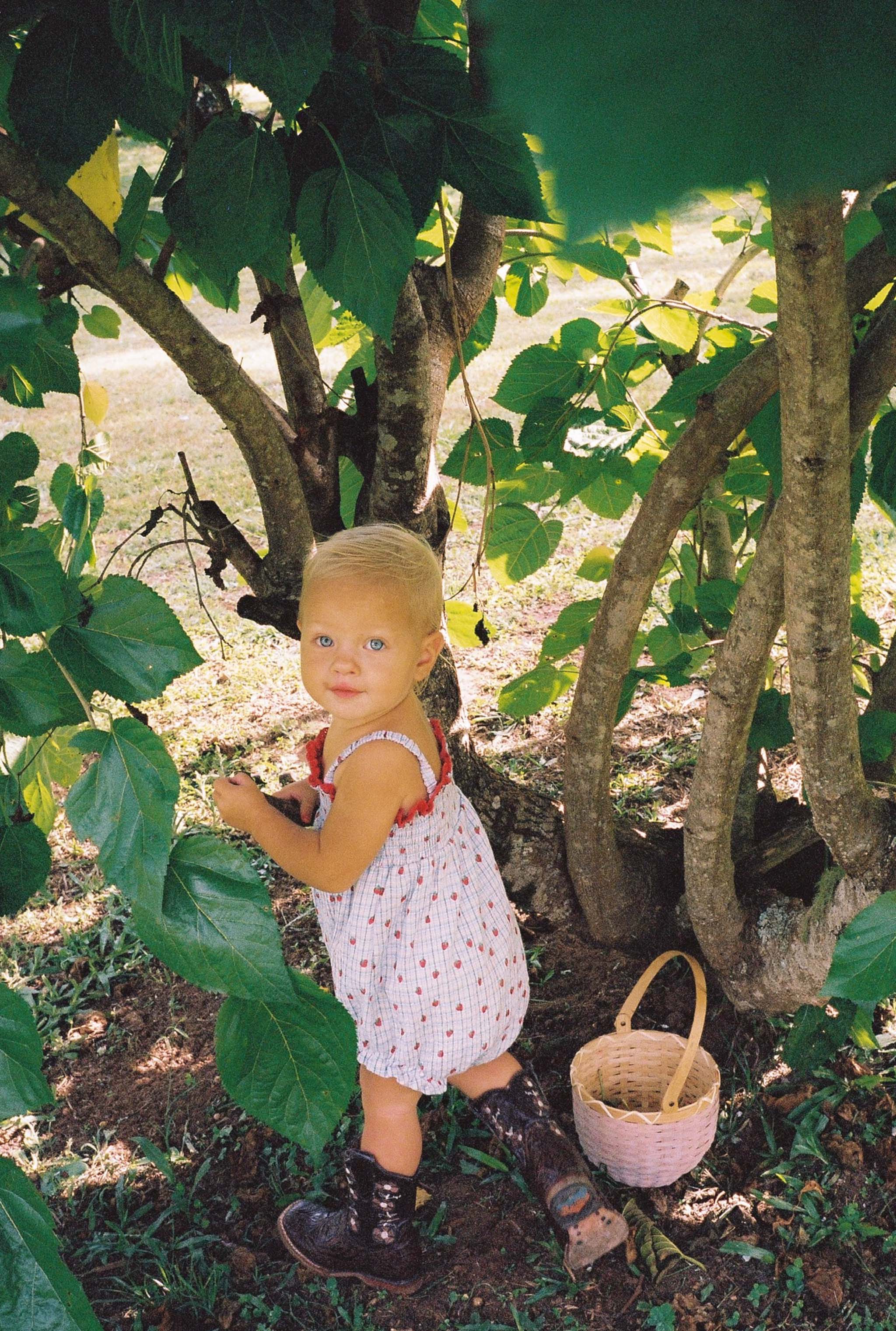 Lottie Romper Strawberry Check