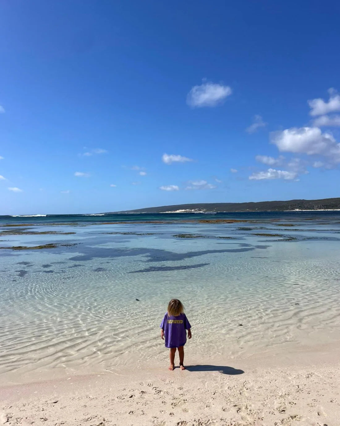 Ziggy Zaza - Seaweed Tee Violet