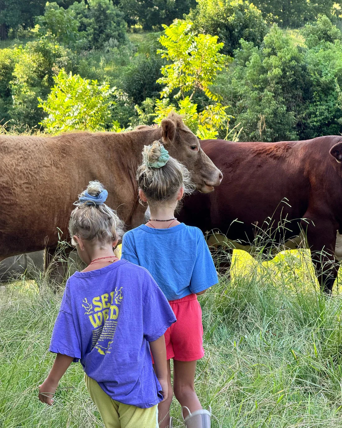 Ziggy Zaza - Seaweed Tee Violet