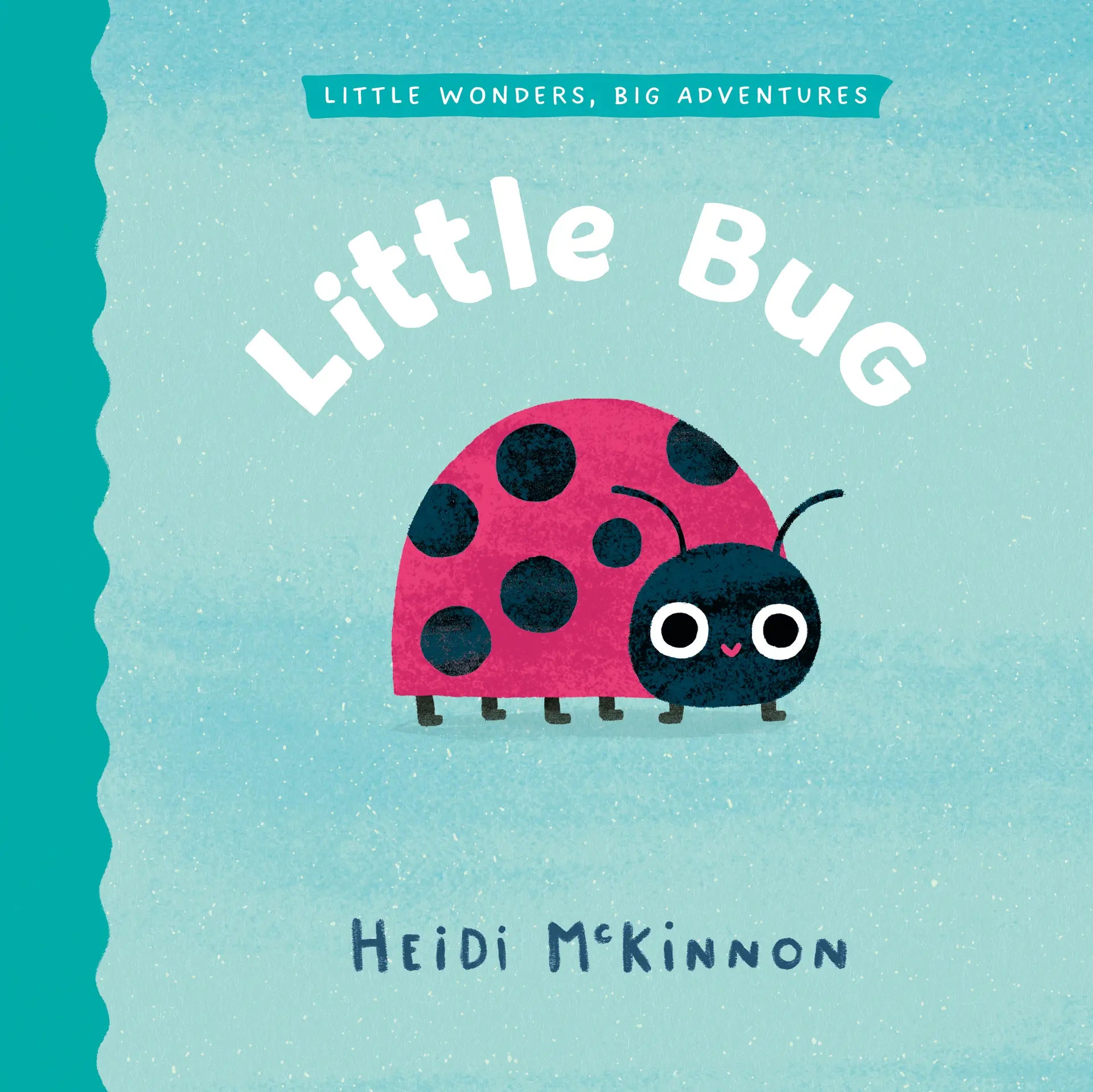 Little Bug Hardcover Book