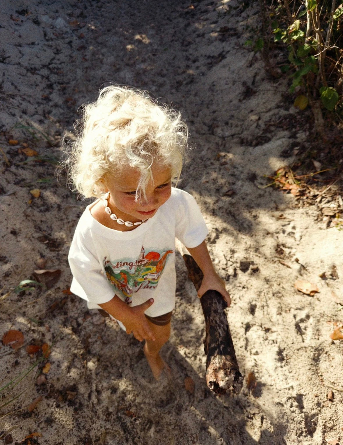 We Are Cambe - Postcards Tee