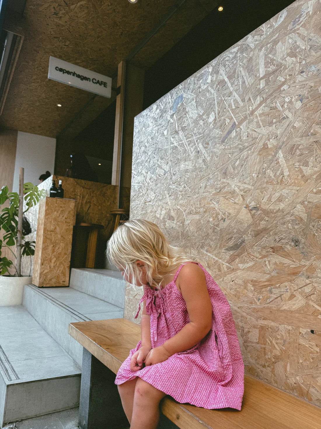 Loaila - Zulu Dress Berry Stripe