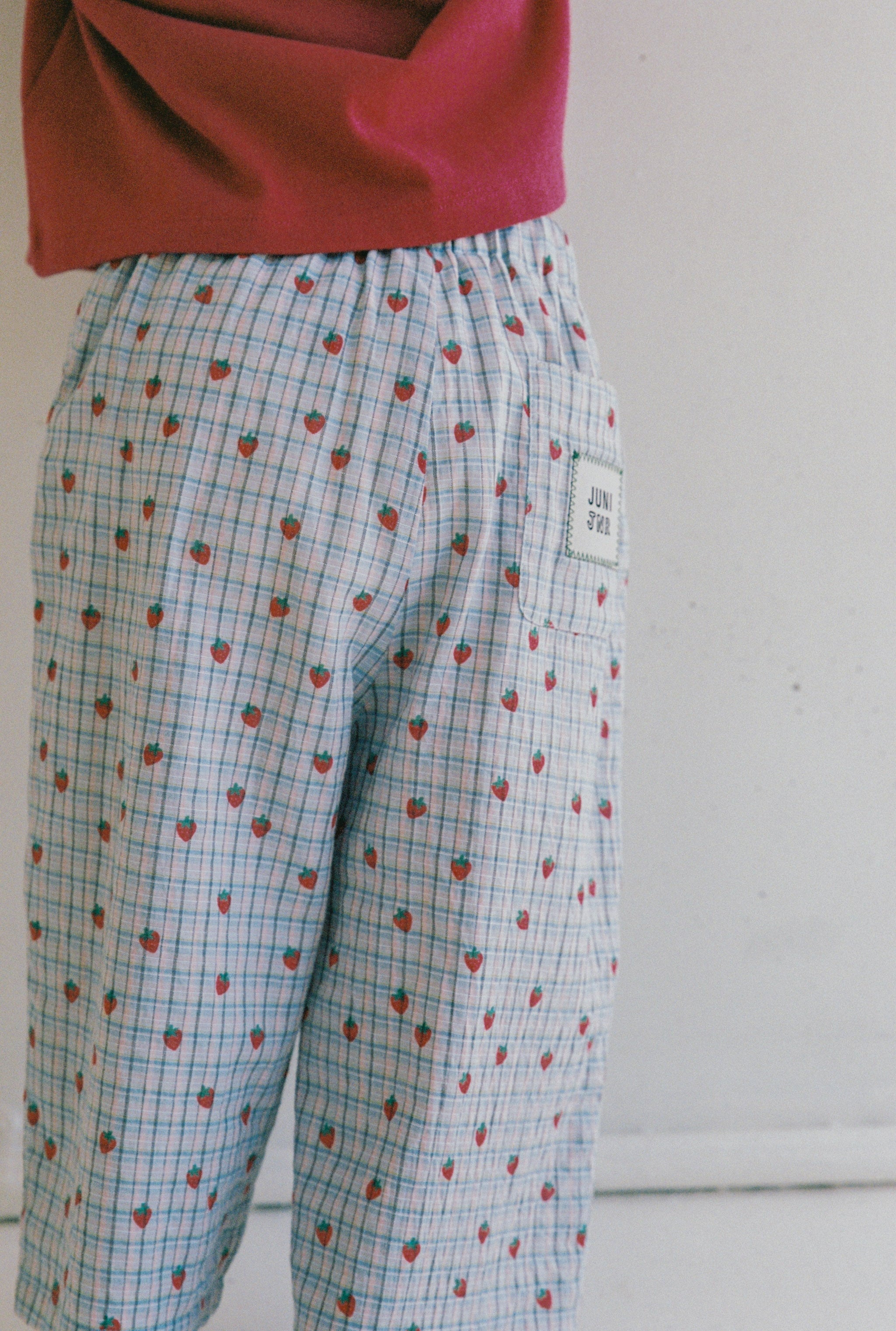 Lenny Pants Strawberry Check