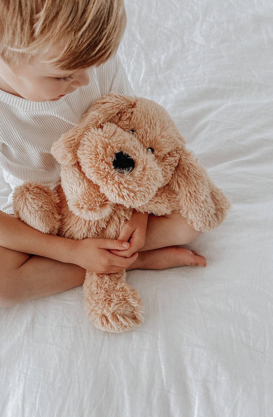 A weighted puppy dog toy held by a young boy.