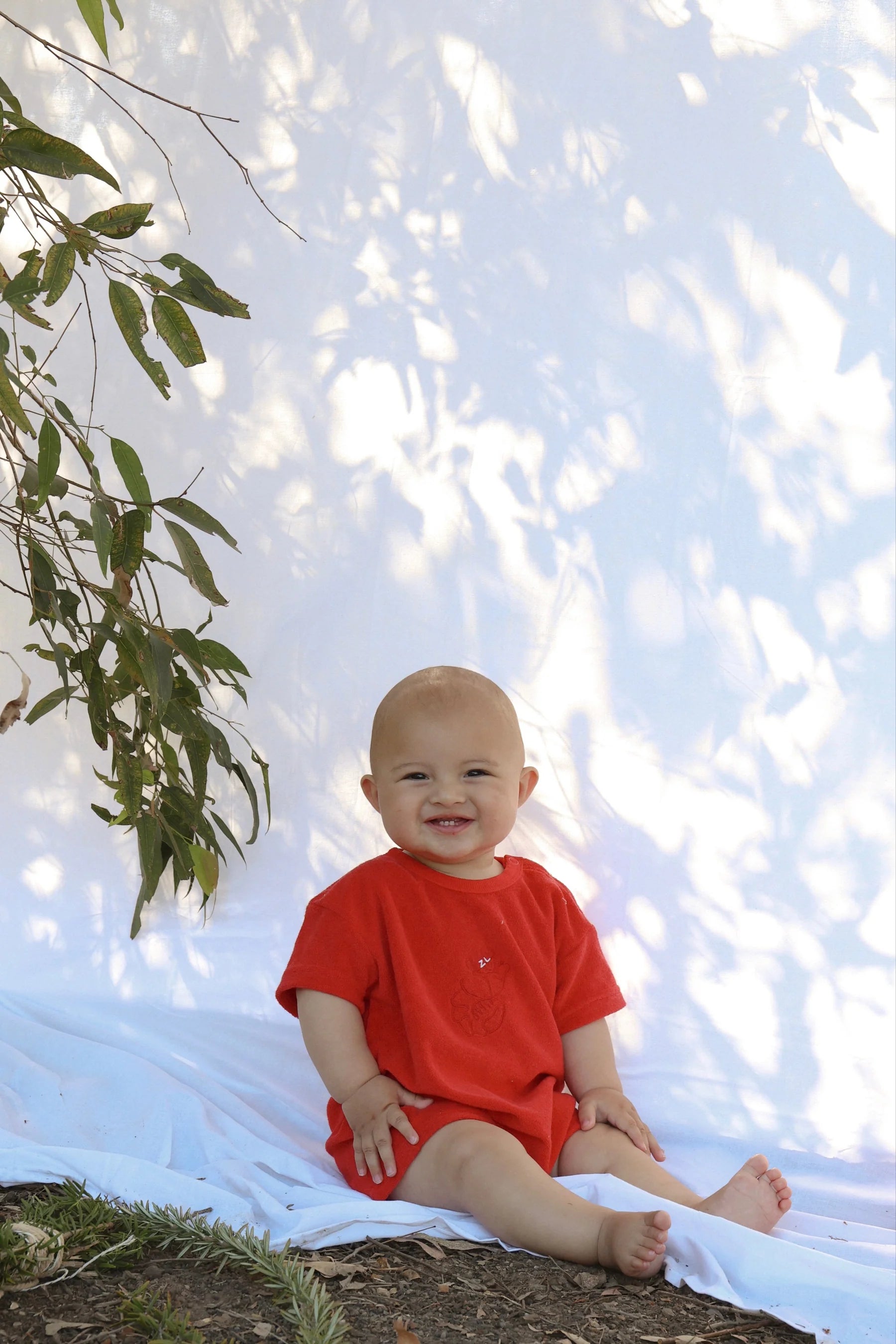 Ziggy Lou - Shawn The Prawn Playsuit