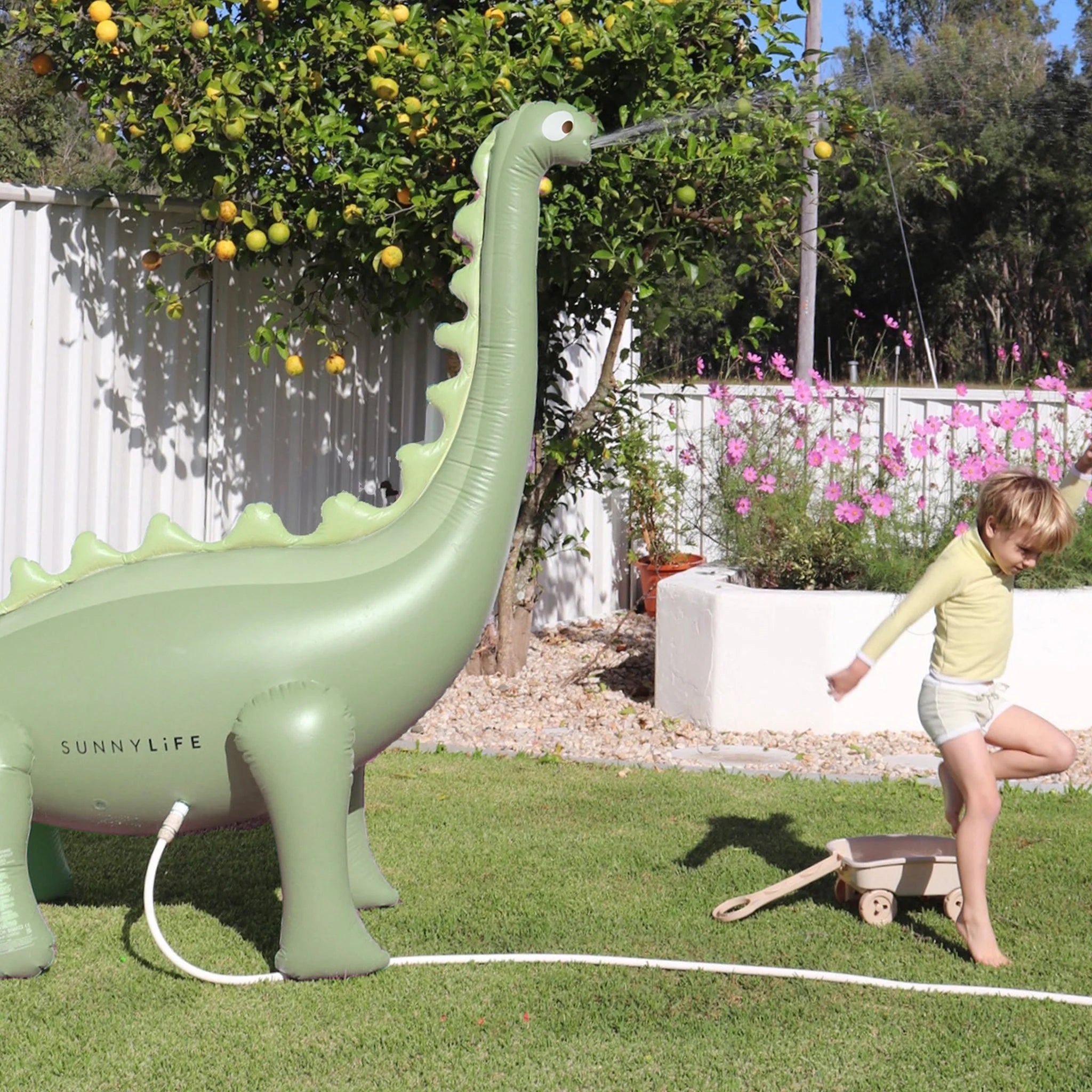 A young child plays in a backyard with the SUNNYLIFE Dino Giant Sprinkler, an inflatable green dinosaur made of durable PVC. The dinosaur sprays water from its mouth as the child joyfully runs away, lifting one leg. The yard has a white fence, trees, a lemon tree, and blooming pink flowers.