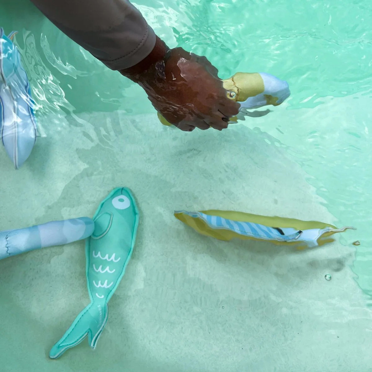 SUNNYLIFE - Dive Buddies Sammy the Seagull (Set of 6)