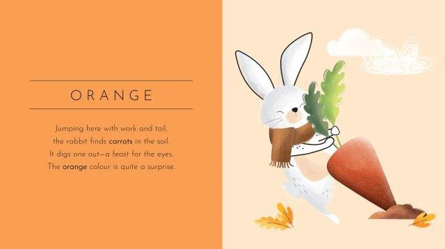 The book "Touch & Feel: Colours" by SASSI features a delightful illustration of a white rabbit in a brown scarf happily extracting a large carrot from the earth, surrounded by autumn leaves and clouds. On the left side, an orange panel contains playful text about the rabbit's carrot discovery, providing interactive learning with textured inserts for enhanced enjoyment.