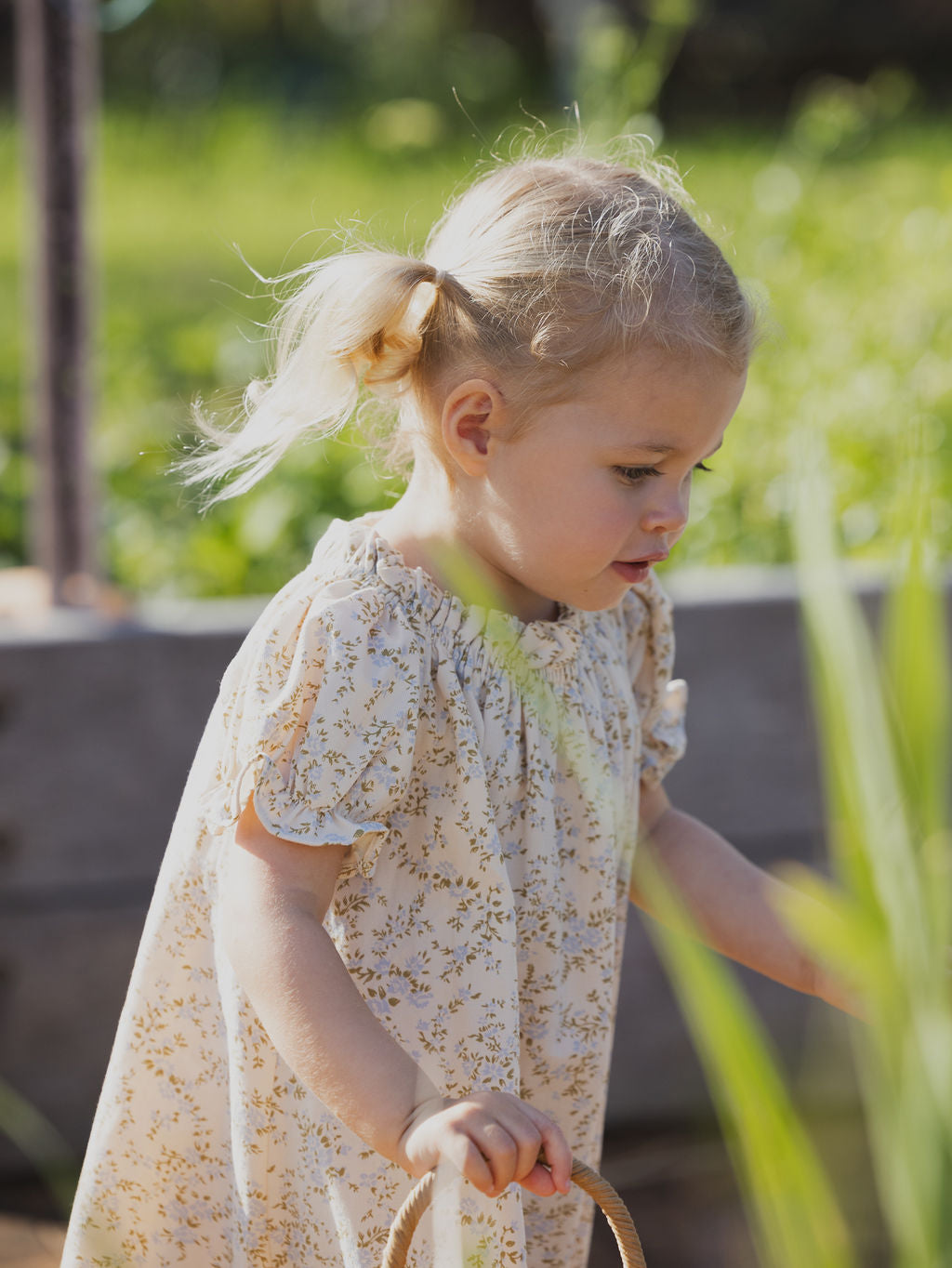 Aurelie Dress Cornflower