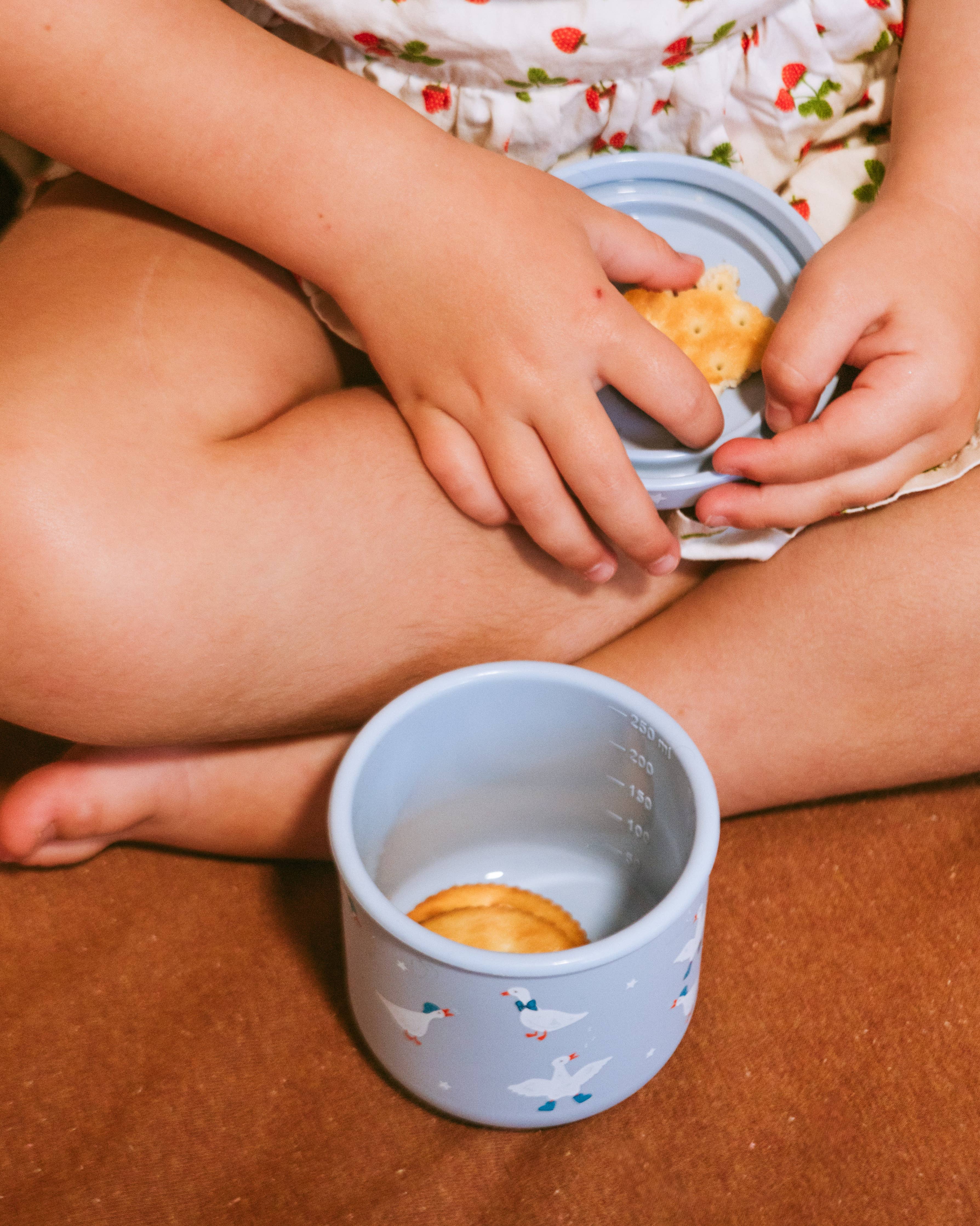 BBcino - Reusable Silicone Snack Pot Silly Goose