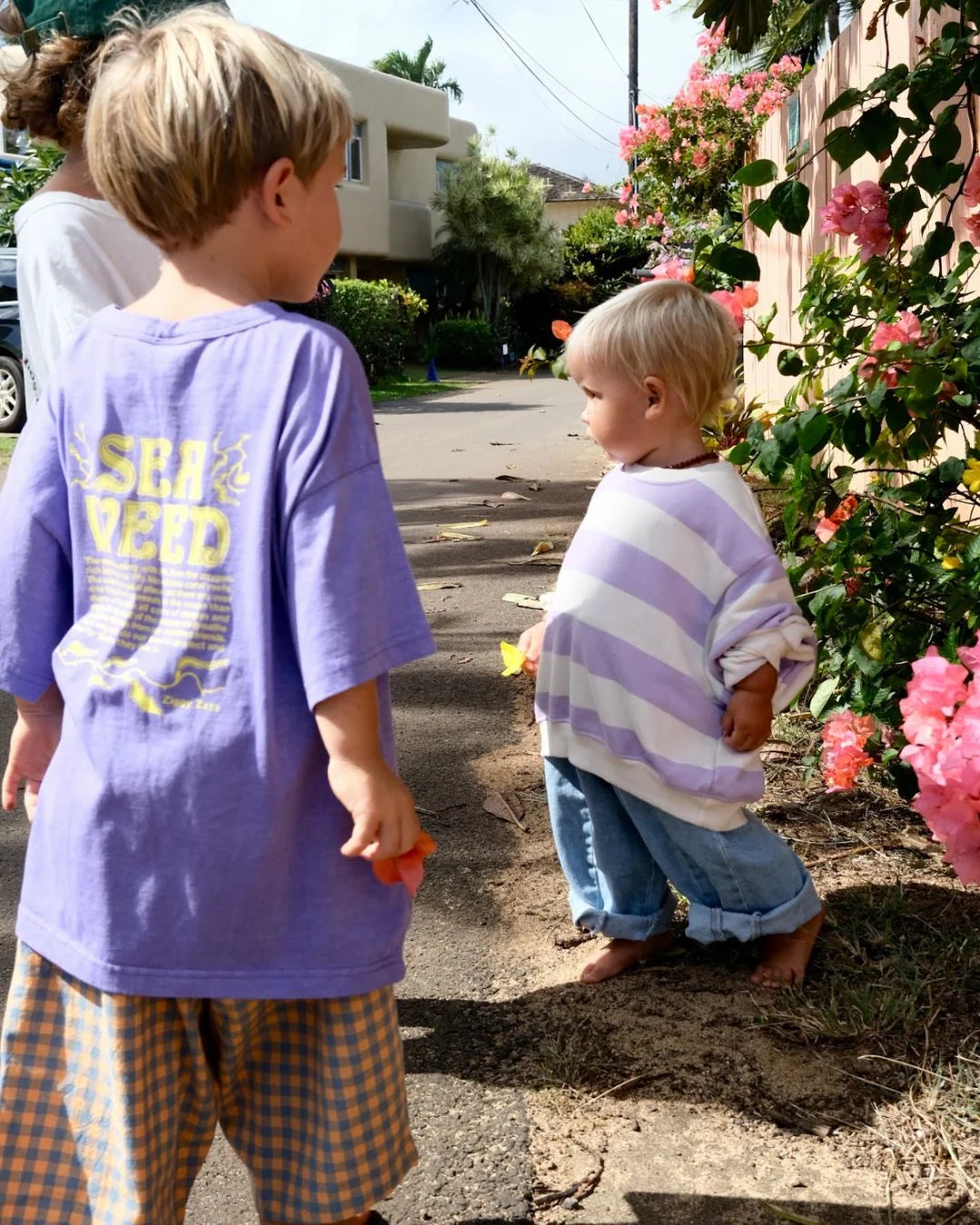 Ziggy Zaza - Toro Pullover Lilac - Size 12-18M