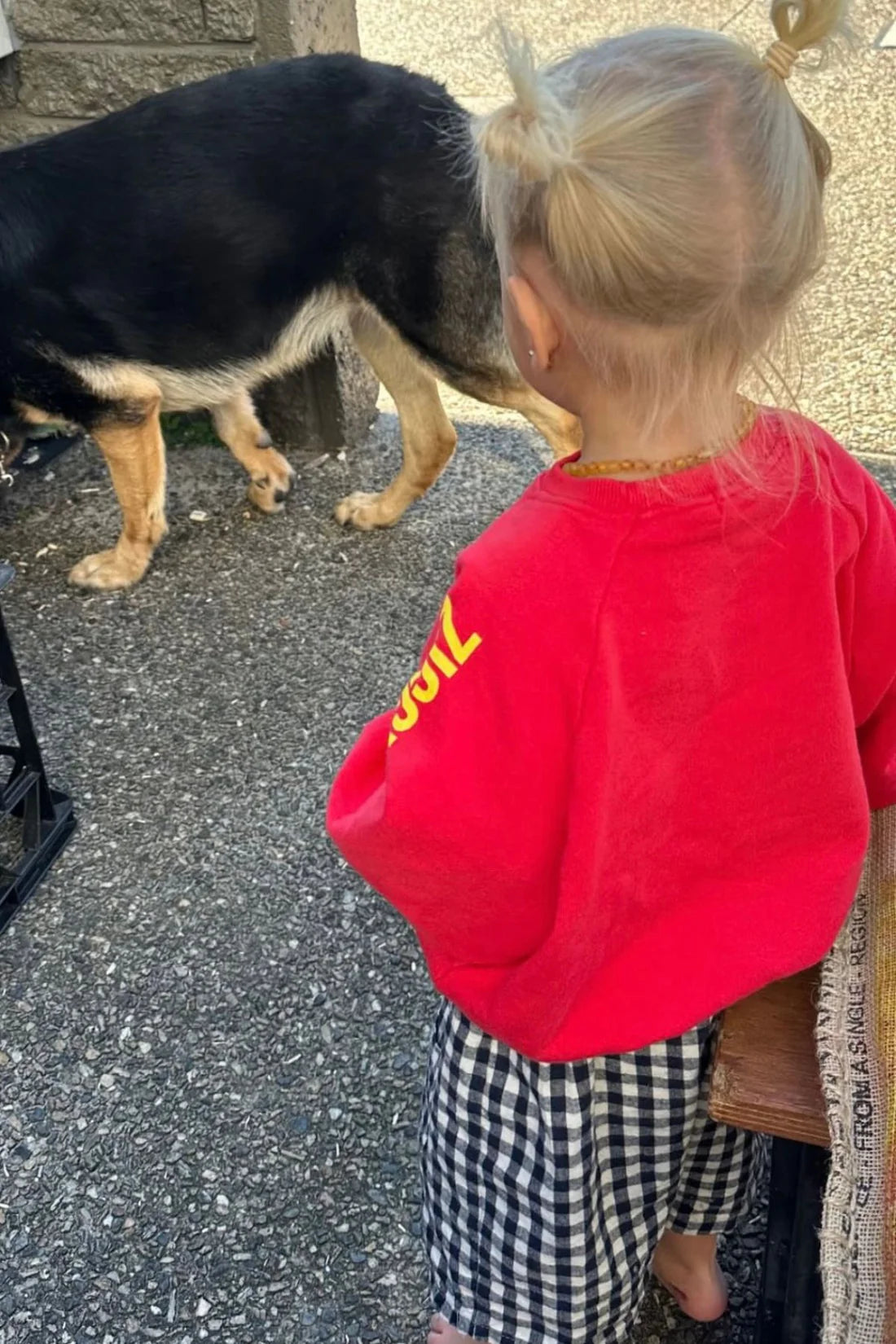 A young child with blonde pigtails wears the ZIGGY ZAZA Ziggy Zaza - Artist Pullover Racer Red and black-and-white checkered shorts, standing on gravel near a black and tan dog, facing away from the camera.