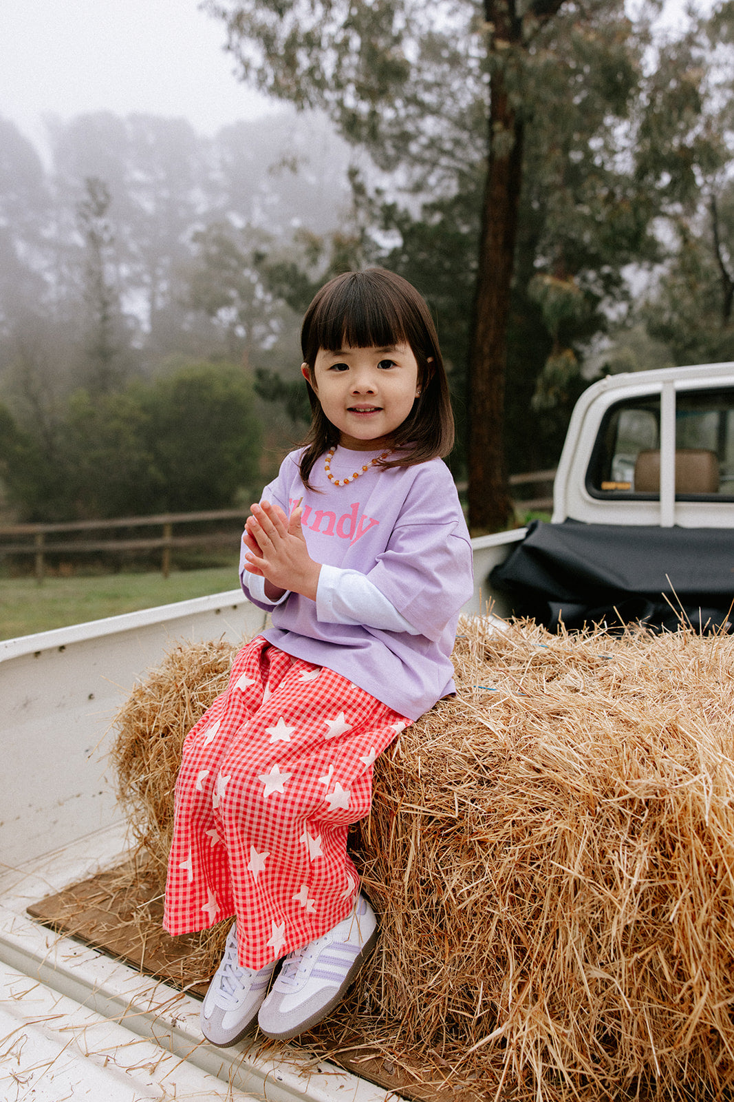 Sunday Siblings - Dusty Star Pants Pink Gingham